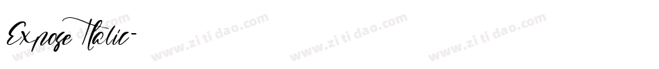 Expose Italic字体转换